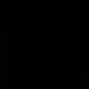 Meet your Posher, Ant